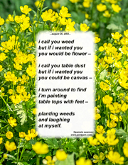 i call you weed