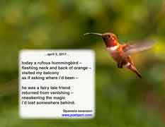 today a rufous