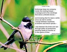 birdsongs keep